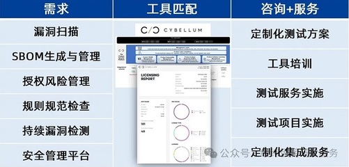 基于信息安全的軟件測(cè)試工具鏈解決方案與風(fēng)險(xiǎn)管理咨詢服務(wù)